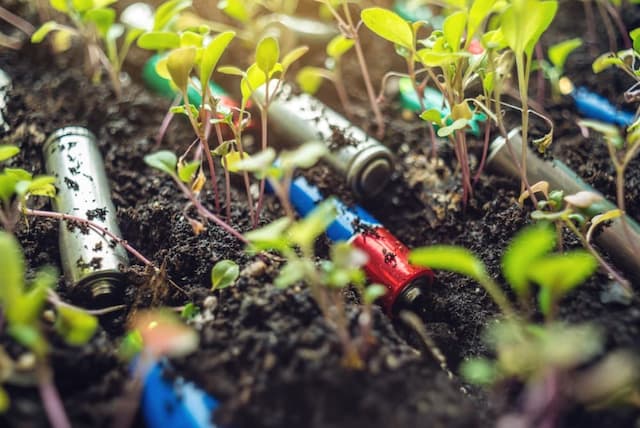 WhatsApp Image 2023-12-20 at 21.58.14